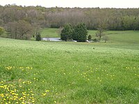 L'étang de la Fontaine Bouillante.