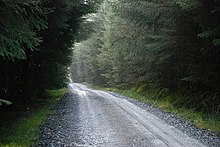 Route forestière - geograph.org.uk - 264890.jpg