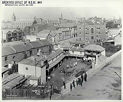 Frog Hollow, pictured in 1901, prior to resumption and demolition Frog Hollow, The Rocks (4909056374).jpg