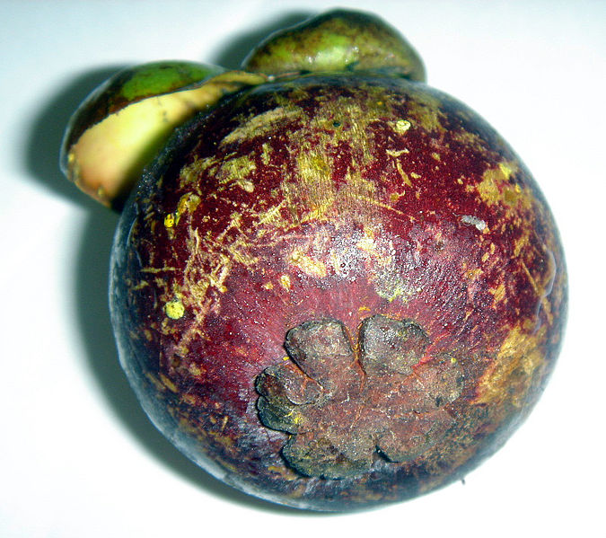 File:Garcinia mangostana fruit3.jpg