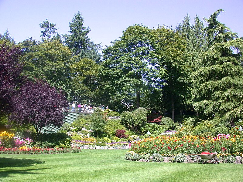 File:Garden5.jpg