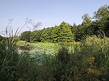 Gayeulles2013 Etang02.JPG