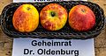 Geheimrat Dr. Oldenburg jm55179.jpg