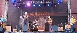 GinBlossoms.jpg