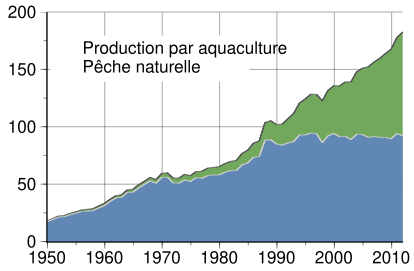 Évolution des tonnages péchés : la croissance de la pisciculture compense la stagnation des prises sauvages.