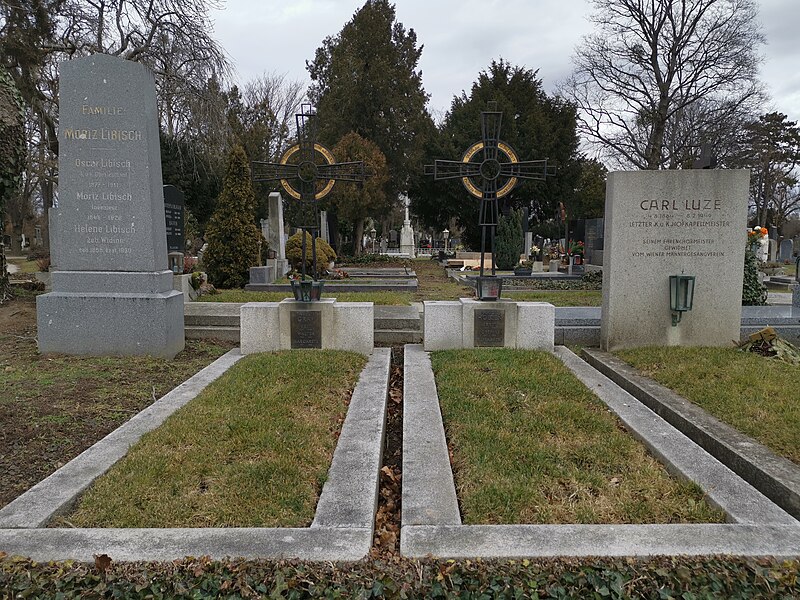 File:Grab Graf Holzen Luze Wiener Zentralfriedhof 2020-01-30 6.jpg