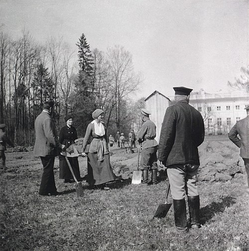 Nicholas II, Tatiana and Anastasia Hendrikova working on a kitchen garden at Alexander Palace in May 1917. The family was allowed no such indulgences 