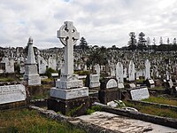 Waverley Cemetery is owned and managed by Waverley Council. Graves at Waverley Cemetery July 2018.jpg