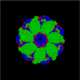 分子伴侣