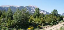 La sierra de Guara (provincia de Huesca) es una de las más importantes del Prepirineo.