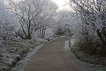 Guisborough Branch Walk, the former railway line