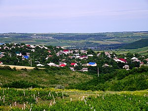 Hîncești District, Moldova - panoramio (5).jpg