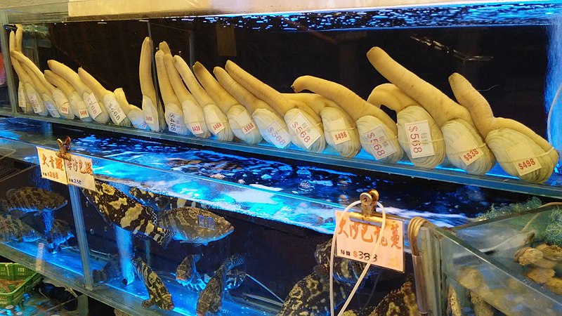 File:HK 灣仔 Wan Chai 權發海鮮酒家 Kwun Fat Seafood Restaurant Geoduck 象拔蚌 water tank Dec-2014 LG2.jpg