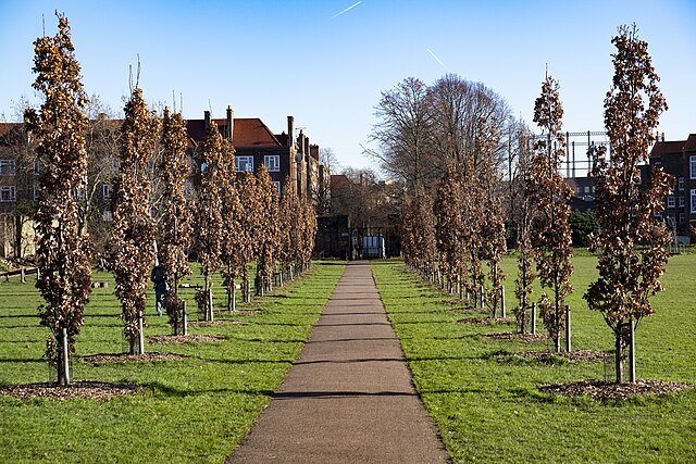 Haggerston Park, looking east.