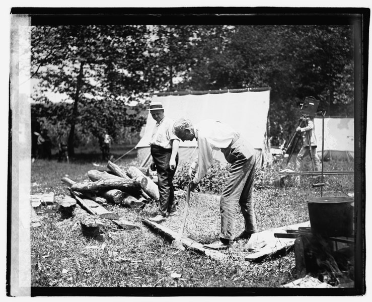 File:Henry Ford chopping wood LOC npcc.04716.tif