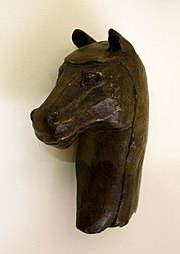 HorseHead.jpg 