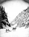 Horse pulling sled carrying two passengers on the trail through Keystone Canyon near Valdez, Alaska, circa 1906 (AL+CA 4682).jpg