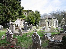 Hbitov svatého Mikuláe, Kill-Saint-Anne, Castlelyons
