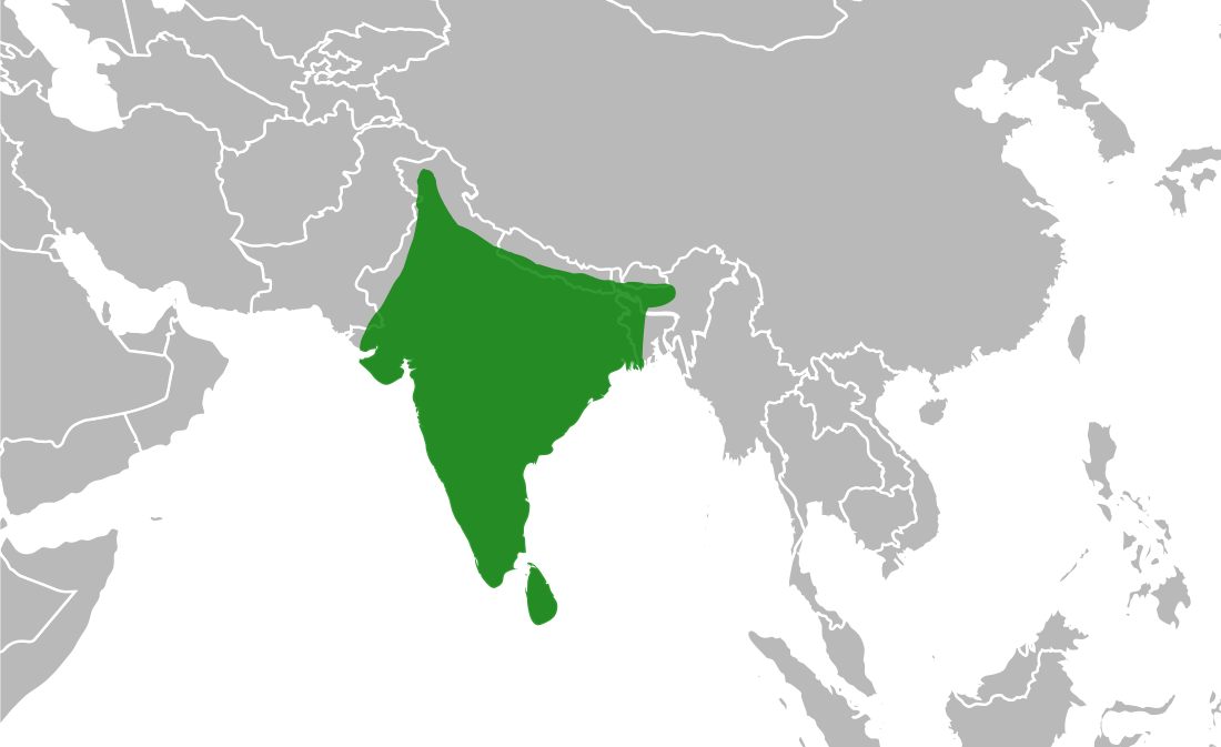 File:Indian Peacock Range.svg