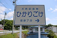 長野県道156号線側の入口に設置された「ひかりごけ入口」の標識。2022年6月10日撮影。