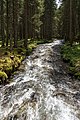 * Nomination Brook Ingeringbach shortly before flowing into lake Ingeringsee near Gaal, Styria --Uoaei1 15:29, 16 June 2016 (UTC) * Promotion Good quality. --Xicotencatl 15:46, 16 June 2016 (UTC)