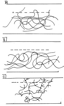 The interface is indicated by the dotted line. A) Non-crosslinked polymers are somewhat free to diffuse across the interface. One loop and two distal tails are seen diffusing. B) Crosslinked polymers not free enough to diffuse. C) "Scissed" polymers very free, with many tails extending across the interface. Interdigitation.jpg