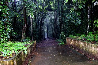 <span class="mw-page-title-main">Iringole Kavu</span> Hindu temple in Kerala, India