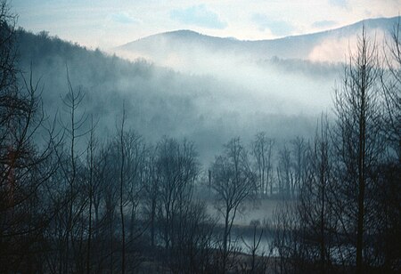 January Thaw