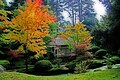 Jardin japonais