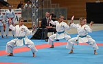 Thumbnail for Karin Prinsloo (karateka)