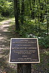 The burial mounds on the southwestern shore of Mille Shore Lac.