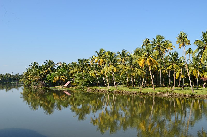 File:Kerela Trees.jpg