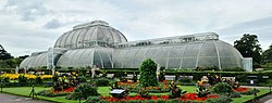 Vorschaubild für Royal Botanic Gardens (Kew)