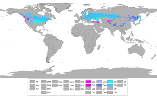 Koppen World Map Dfa Dwa Dsa Dfb Dwb Dsb