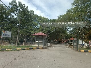 <span class="mw-page-title-main">Kuala Selangor Nature Park</span>