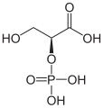 Deutsch: Struktur von L-2-Phosphoglycerinsäure English: Structure of L-2-phosphoglyceric acid