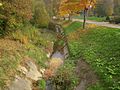 The Seymaz river near Chevrier