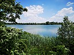 Miniatura per Lago del Frasin