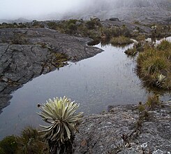 Laguna La Hermosa Sisavita.jpg