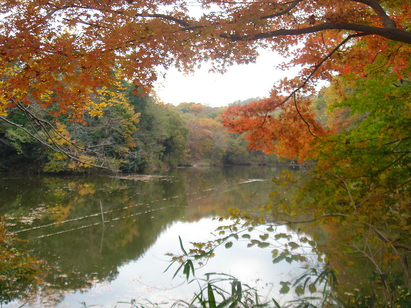 File:Lake.Shinseiko0.JPG
