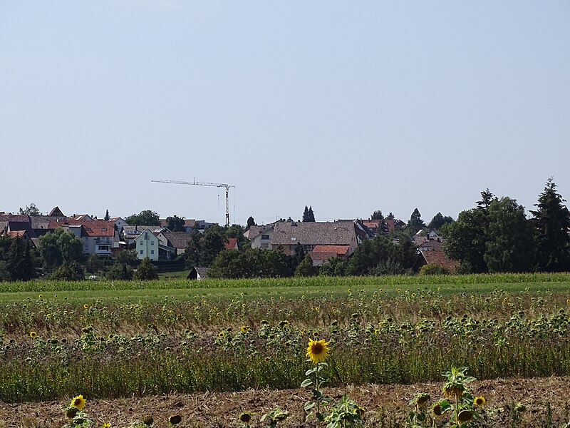 File:Landschaftsaufnahmen bei Tiefenbronn 22.jpg