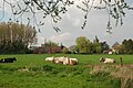 Lede, gezien vanaf het traject van de Rooigemsebeek