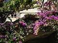 Miniatuur voor Bestand:Limone sul Garda 060909 01.JPG