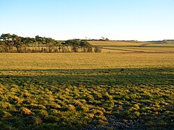 Loch Brown, Lochhills va daraxtlar bilan o'ralgan.JPG