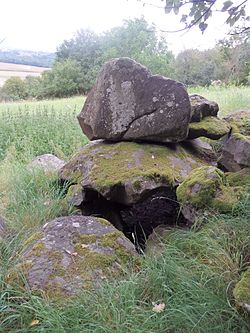 Illustrativt billede af artiklen Dolmen de Loubaresse