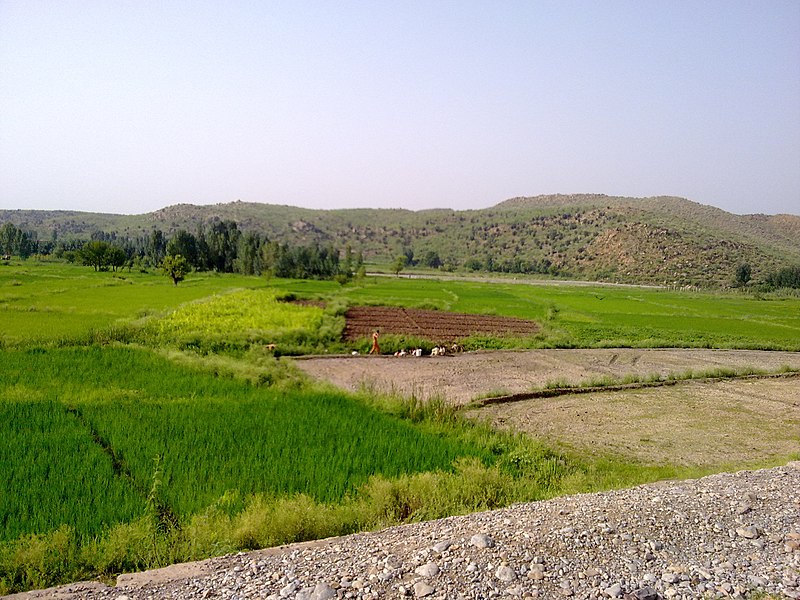 File:Mamu khora Road 10 - panoramio.jpg