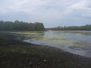 Manton, Northern Territory