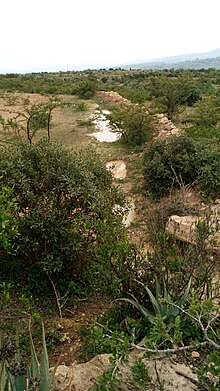 Soil and water conservation in May Genet May Genet2.jpg