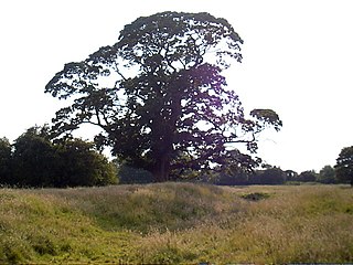 <span class="mw-page-title-main">Meaux, East Riding of Yorkshire</span> Hamlet in the East Riding of Yorkshire, England