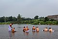 Men taking a dip in the holy Indian river Kaveri